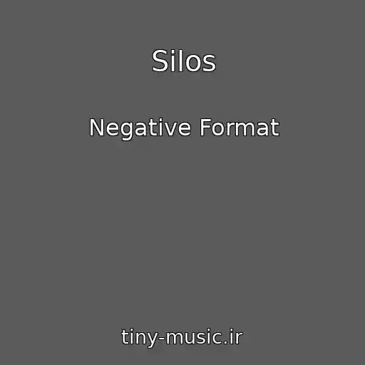 کاور آهنگ Silos از Negative Format