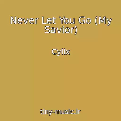 کاور آهنگ Never Let You Go (My Savior) از Cylix