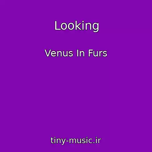 کاور آهنگ Looking از Venus In Furs