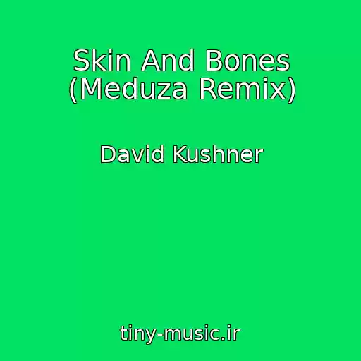 کاور آهنگ Skin And Bones (Meduza Remix) از David Kushner