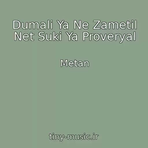 کاور آهنگ Dumali Ya Ne Zametil Net Suki Ya Proveryal از Metan
