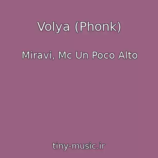 کاور آهنگ Volya (Phonk) از Miravi, Mc Un Poco Alto