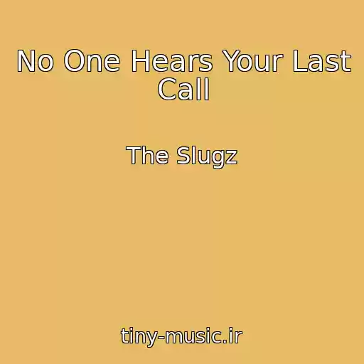 کاور آهنگ No One Hears Your Last Call از The Slugz