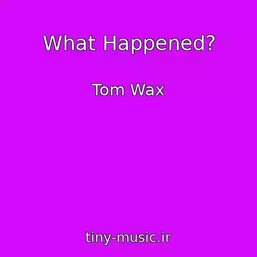 کاور آهنگ What Happened? از Tom Wax