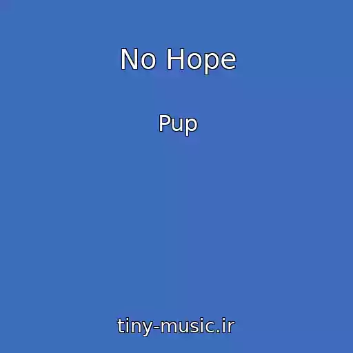 کاور آهنگ No Hope از Pup