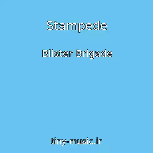 کاور آهنگ Stampede از Blister Brigade