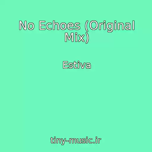 کاور آهنگ No Echoes (Original Mix) از Estiva