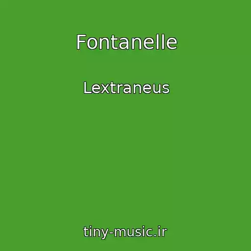 کاور آهنگ Fontanelle از Lextraneus