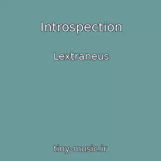 کاور آهنگ Introspection از Lextraneus