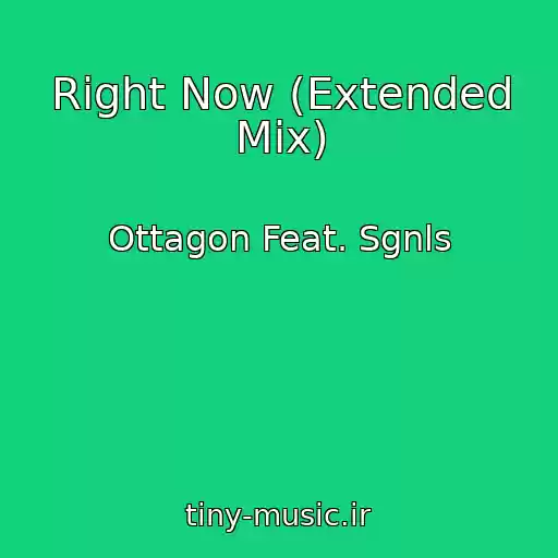 کاور آهنگ Right Now (Extended Mix) از Ottagon Feat. Sgnls