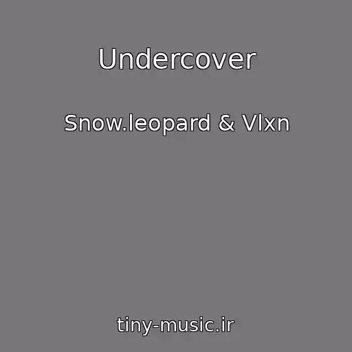 کاور آهنگ Undercover از Snow.leopard & Vlxn