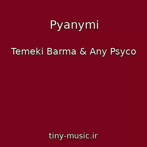 کاور آهنگ Pyanymi از Temeki Barma & Any Psyco
