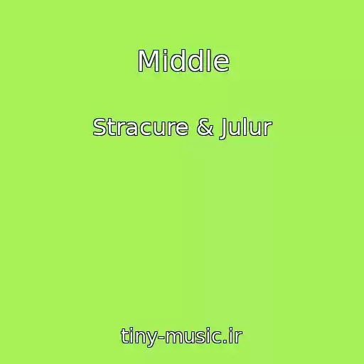 کاور آهنگ Middle از Stracure & Julur