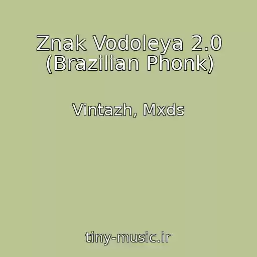 کاور آهنگ Znak Vodoleya 2.0 (Brazilian Phonk) از Vintazh, Mxds