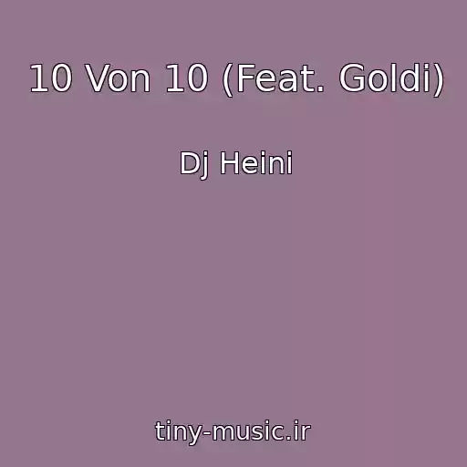 کاور آهنگ 10 Von 10 (Feat. Goldi) از Dj Heini