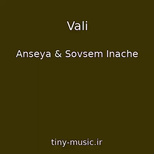 کاور آهنگ Vali از Anseya & Sovsem Inache