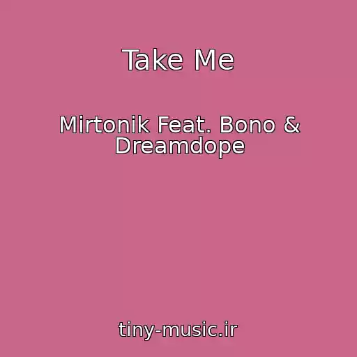 کاور آهنگ Take Me از Mirtonik Feat. Bono & Dreamdope