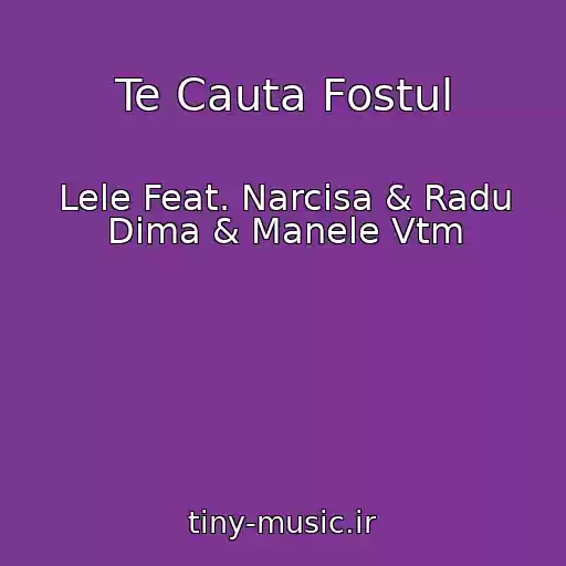 کاور آهنگ Te Cauta Fostul از Lele Feat. Narcisa & Radu Dima & Manele Vtm