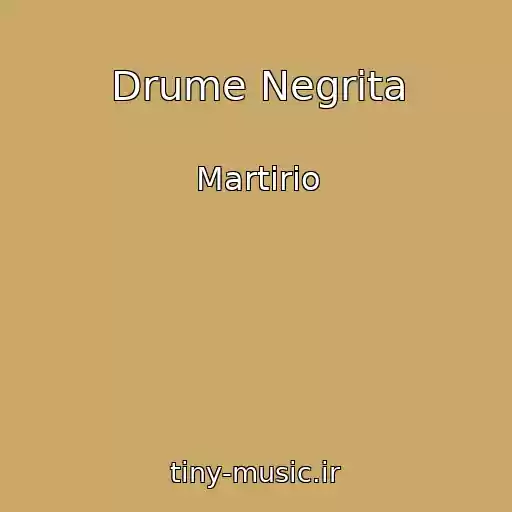 کاور آهنگ Drume Negrita از Martirio
