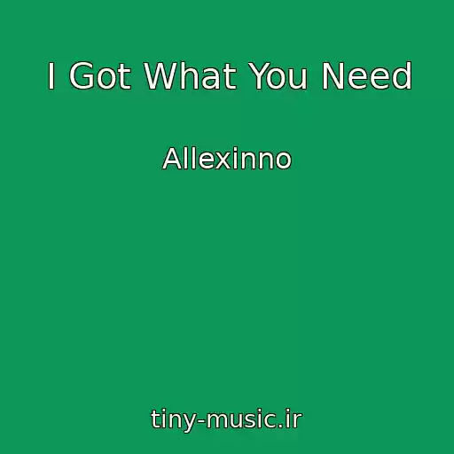 کاور آهنگ I Got What You Need از Allexinno