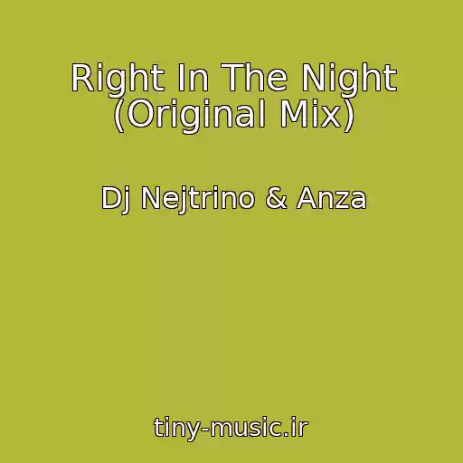 کاور آهنگ Right In The Night (Original Mix) از Dj Nejtrino & Anza