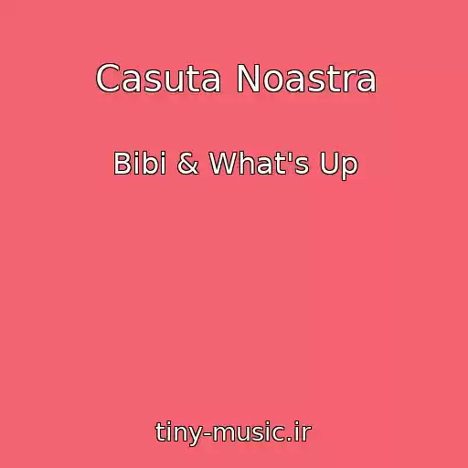 کاور آهنگ Casuta Noastra از Bibi & What's Up
