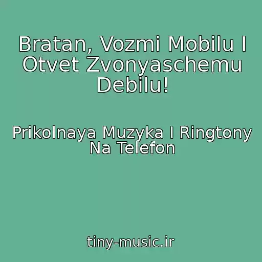 کاور آهنگ Bratan, Vozmi Mobilu I Otvet Zvonyaschemu Debilu! از Prikolnaya Muzyka I Ringtony Na Telefon