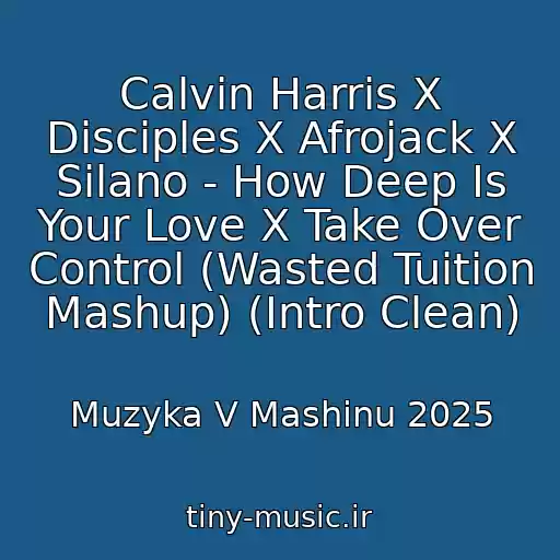 کاور آهنگ Calvin Harris X Disciples X Afrojack X Silano - How Deep Is Your Love X Take Over Control (Wasted Tuition Mashup) (Intro Clean) از Muzyka V Mashinu 2025