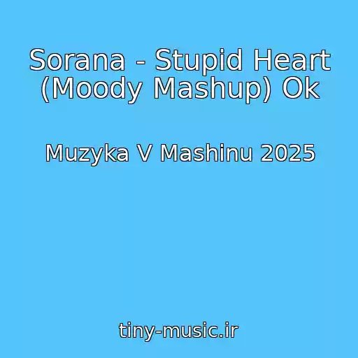 کاور آهنگ Sorana - Stupid Heart (Moody Mashup) Ok از Muzyka V Mashinu 2025