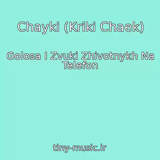 کاور آهنگ Chayki (Kriki Chaek) از Golosa I Zvuki Zhivotnykh Na Telefon