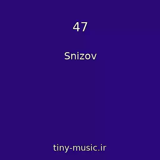 کاور آهنگ 47 از Snizov