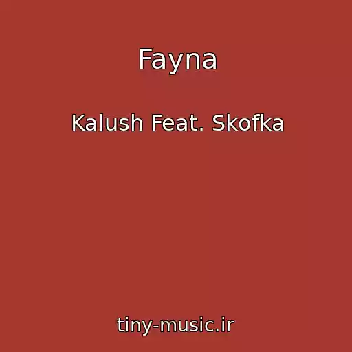 کاور آهنگ Fayna از Kalush Feat. Skofka