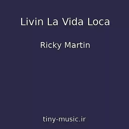 کاور آهنگ Livin La Vida Loca از Ricky Martin