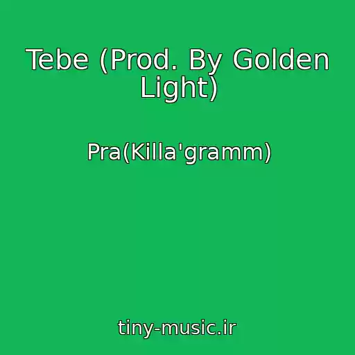 کاور آهنگ Tebe (Prod. By Golden Light) از Pra(Killa'gramm)