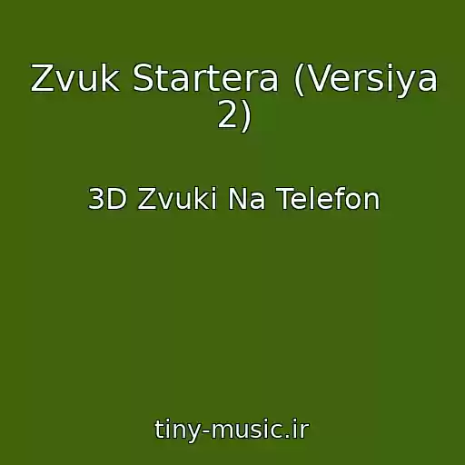 کاور آهنگ Zvuk Startera (Versiya 2) از 3D Zvuki Na Telefon