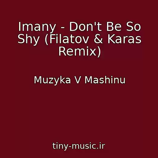 کاور آهنگ Imany - Don't Be So Shy (Filatov & Karas Remix) از Muzyka V Mashinu