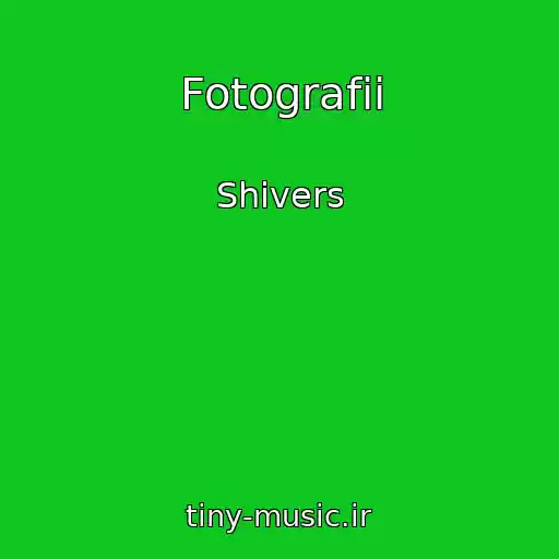 کاور آهنگ Fotografii از Shivers