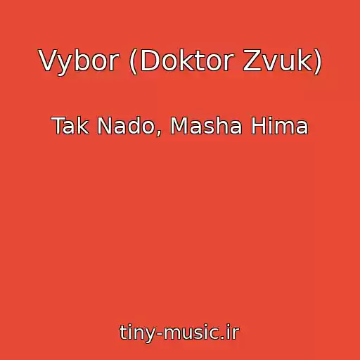 کاور آهنگ Vybor (Doktor Zvuk) از Tak Nado, Masha Hima