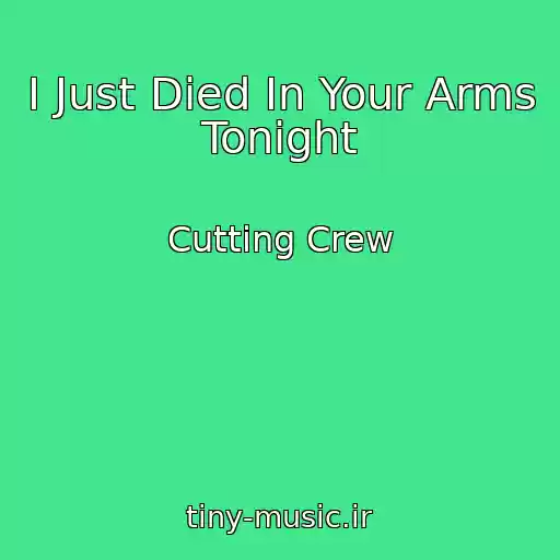 کاور آهنگ I Just Died In Your Arms Tonight از Cutting Crew