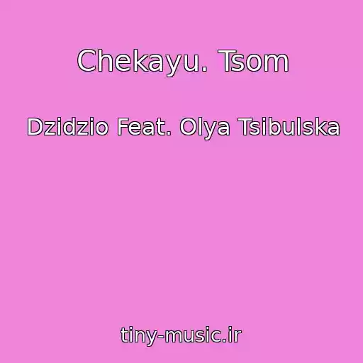 کاور آهنگ Chekayu. Tsom از Dzidzio Feat. Olya Tsibulska