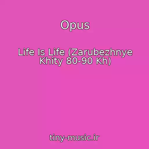 کاور آهنگ Opus از Life Is Life (Zarubezhnye Khity 80-90 Kh)