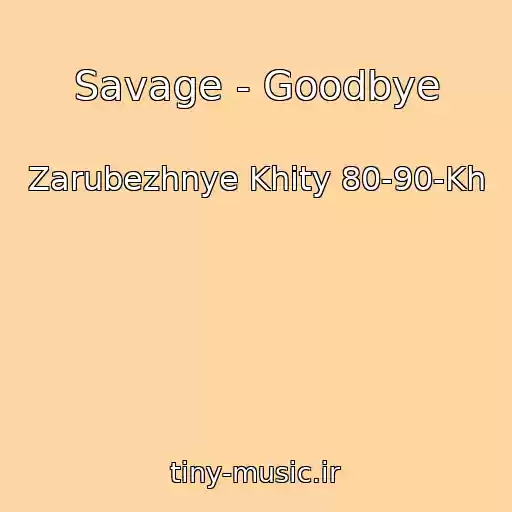 کاور آهنگ Savage - Goodbye از Zarubezhnye Khity 80-90-Kh
