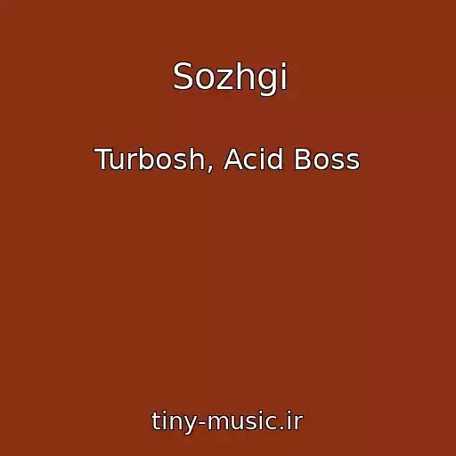 کاور آهنگ Sozhgi از Turbosh, Acid Boss