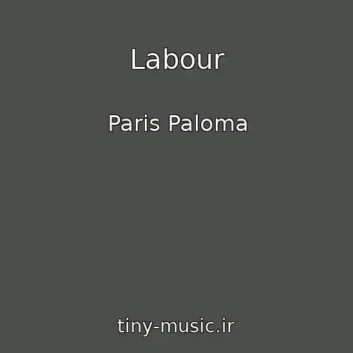 کاور آهنگ Labour از Paris Paloma