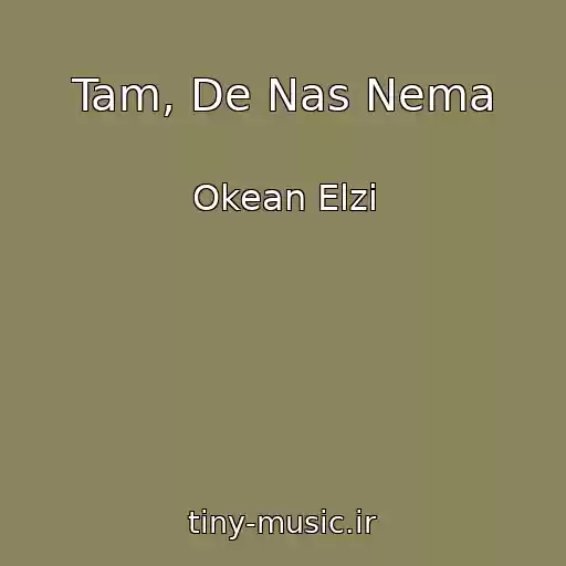 کاور آهنگ Tam, De Nas Nema از Okean Elzi