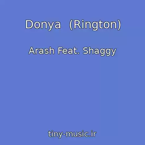 کاور آهنگ Donya  (Rington) از Arash Feat. Shaggy