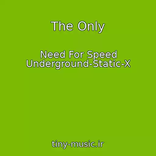 کاور آهنگ The Only از Need For Speed Underground-Static-X