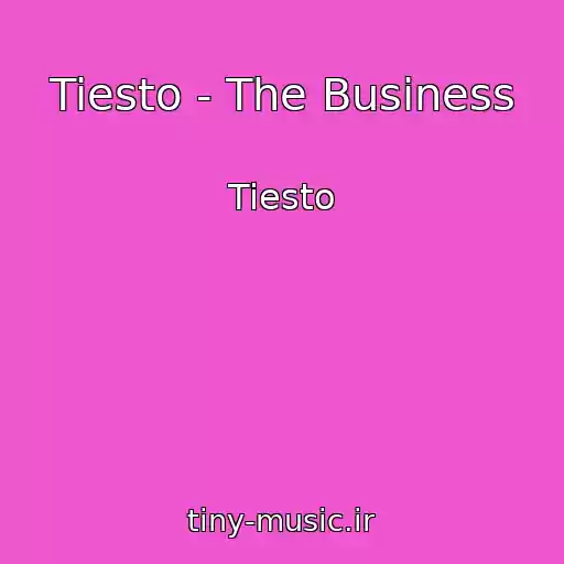 کاور آهنگ Tiesto - The Business از Tiesto
