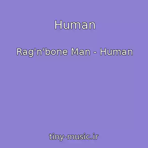 کاور آهنگ Human از Rag'n'bone Man - Human