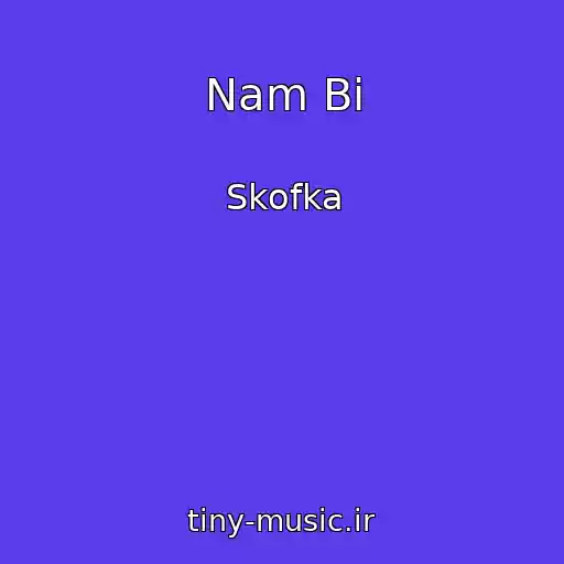 کاور آهنگ Nam Bi از Skofka